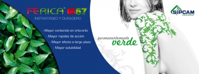 SIPCAM. FERICA. Valla Exterior